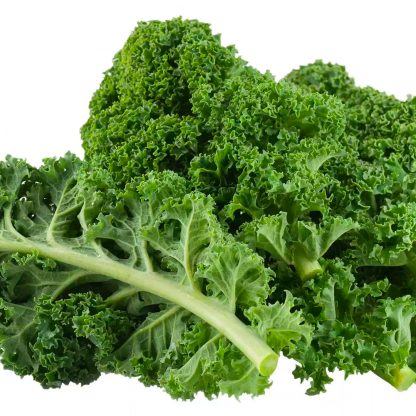 Kale - Curly ( Hydroponic )-1kg