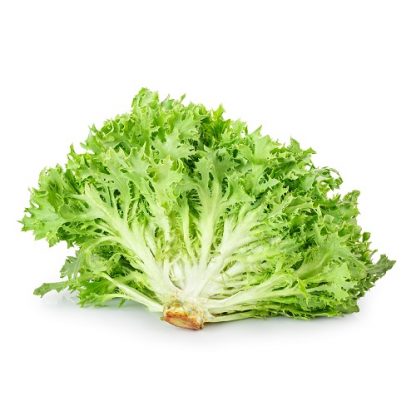Endive / Frisse / Tree Fine 1kg