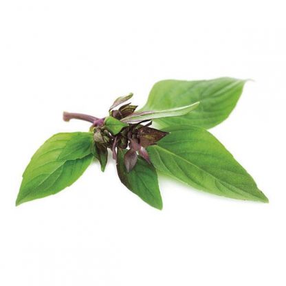 Basil Thai Organic
