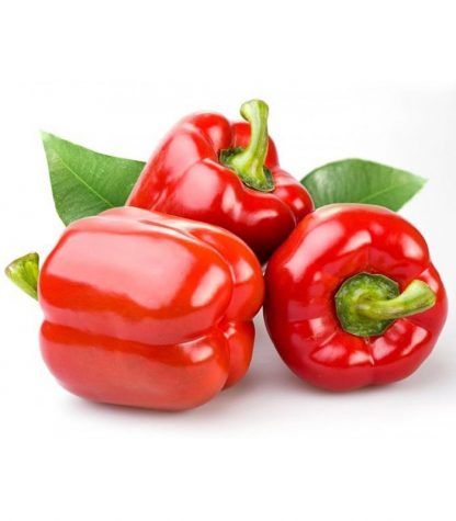 Red Paprika / Capsicum / Bellpepper 1kg
