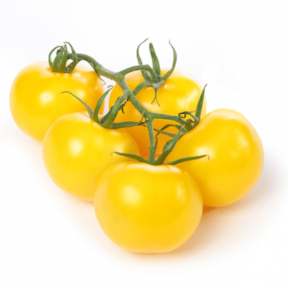 Tomato Cherry Yellow 1kg