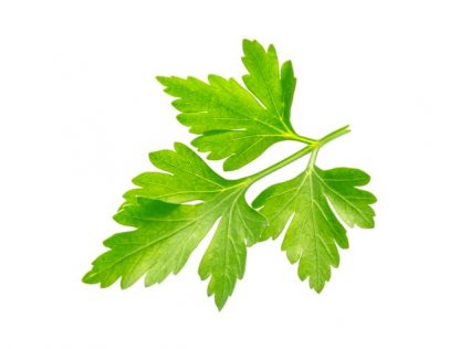 Chervil Leave Organic 1kg