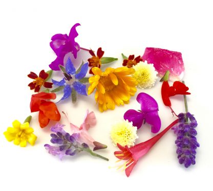 Edible Flower 100gr