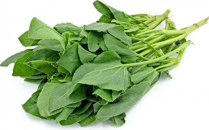 Green Sorrel Leaf pack-25gr