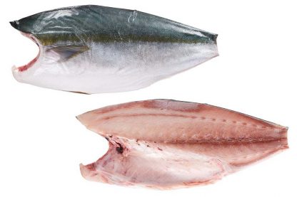Kuwe Hamachi Fresh G/G size 2kg-7kg Whole Fish