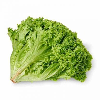 Lettuce - Lollo Bionda 1kg