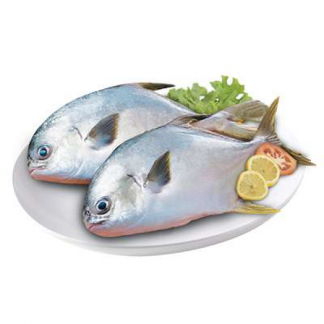Marukoban  Fillets Fish/Kg