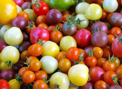 Tomato - Mix Fancy 1kg