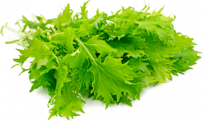 Mizuna Organic 1kg
