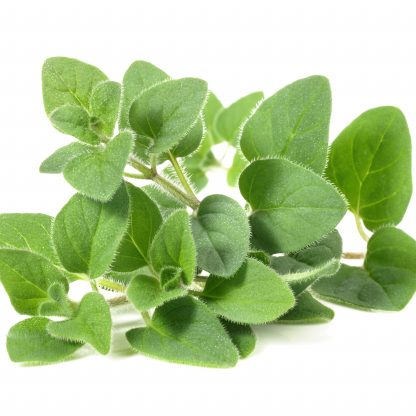 Oregano Organic 1kg