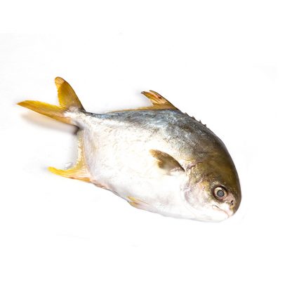 Pompano Pomfret Frozen Fresh Whole Frozen 400-600grm Fish