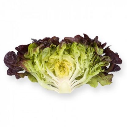Lettuce - Red Oakleaf 1kg
