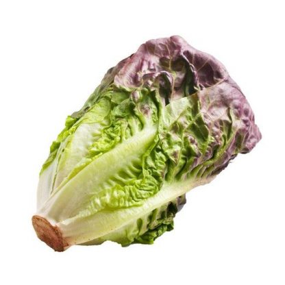 Lettuce - Red Romain 1kg