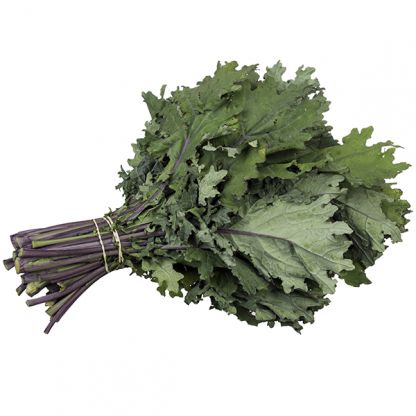 Kale - Red Russian ( Hydroponic ) 1kg