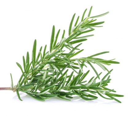 Rosemary Organic 1kg