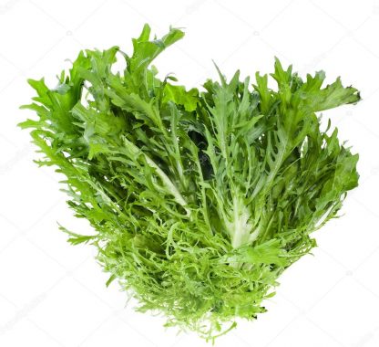 Lettuce - Ruccola 1kg