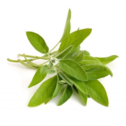 Sage 1kg