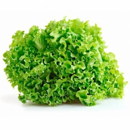 Salanova Lollo Green 1kg