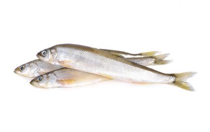 Sand Whiting Whole size 40grm-150grm Fish