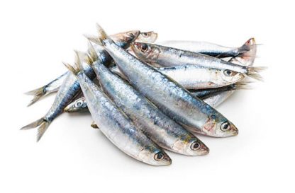 Sardine Fresh Whole size 40grm-60grm Fish