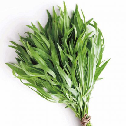 Tarragon 1kg