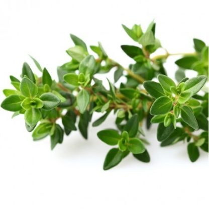 Thyme 1kg