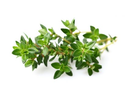 Thyme 1kg