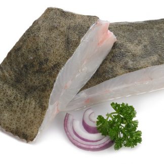Turbot whole Fish