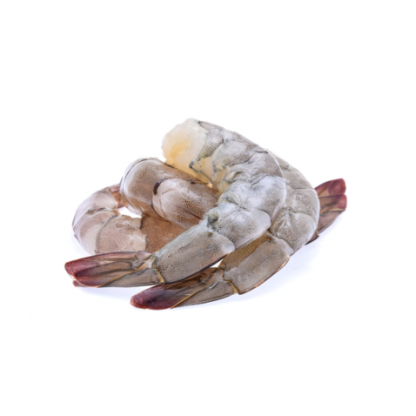 White Wild papuan Prawn Head Less