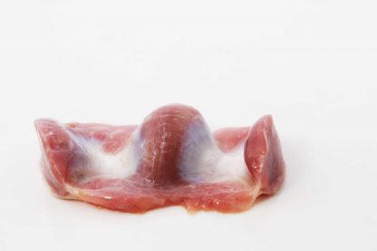 Chicken Rempla /Kg