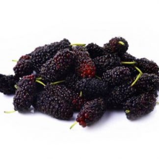Frozen Fruit Mulberry 500gr