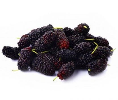 Frozen Fruit Mulberry 500gr