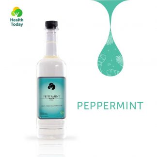 HTI Peppermint Syrup 750ml