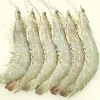 Frozen Whole Prawn/Kg